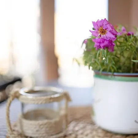 Apartament Casa Del Sole Lesa