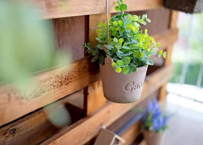 Casa Del Sole Апартаменты Леза